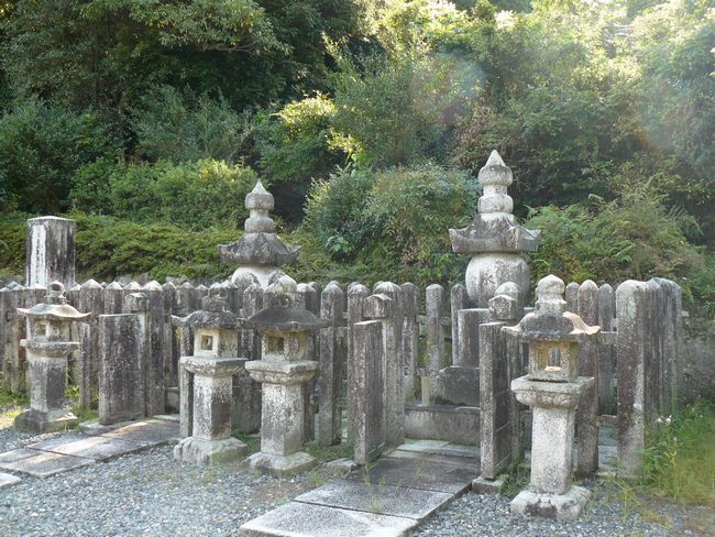 �����s�E�~����