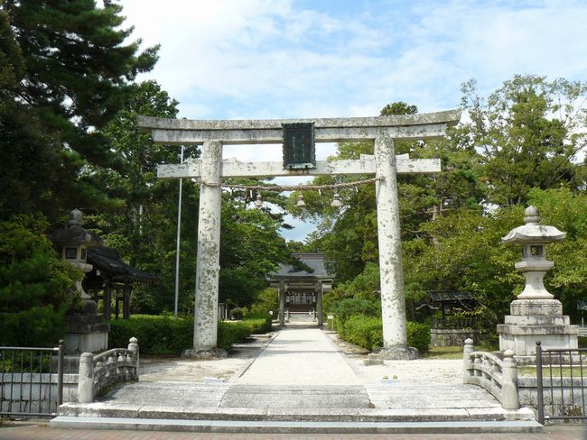 �����_��