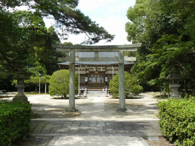 �����_��