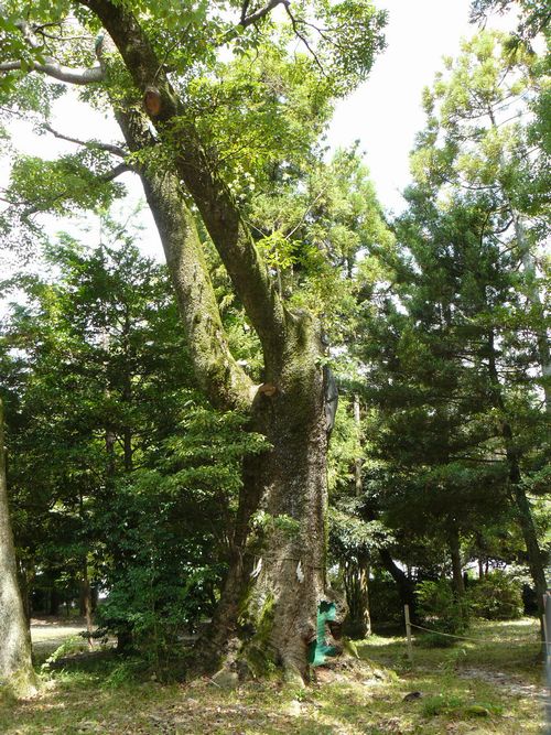 �����_��