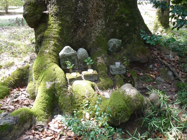 �����_��