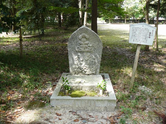 �����_��