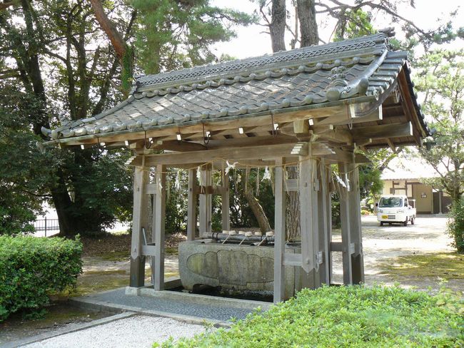 �����_��