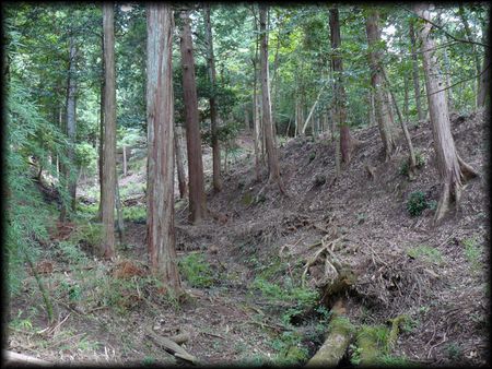 �{���J���