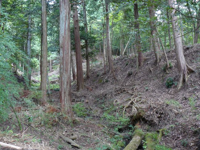 �{���J���