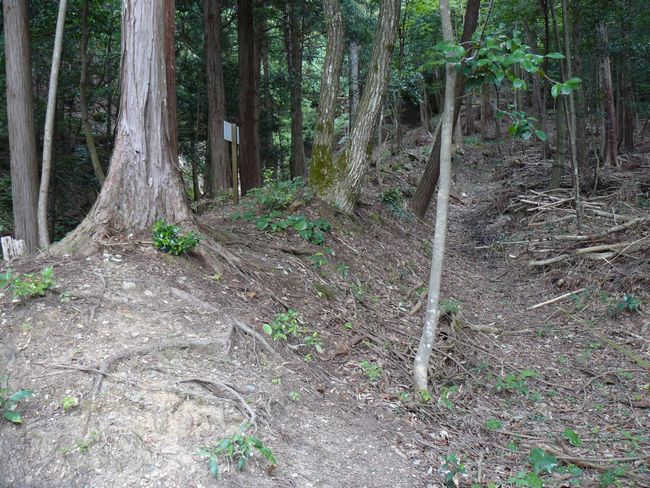 �{���J���