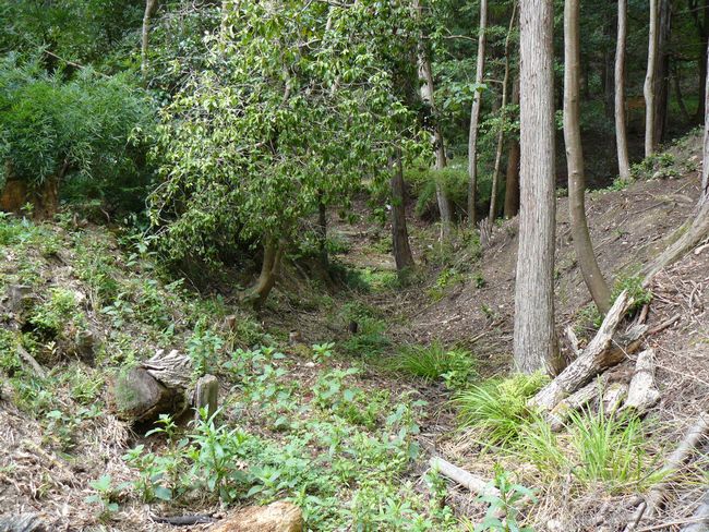 �{���J���