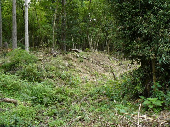 �{���J���