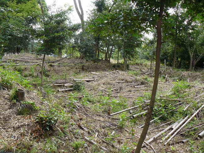 �{���J���