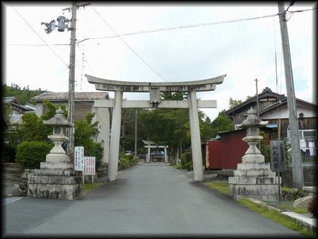 �����_��