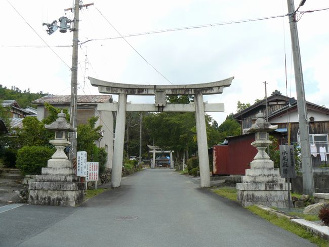 �����_��