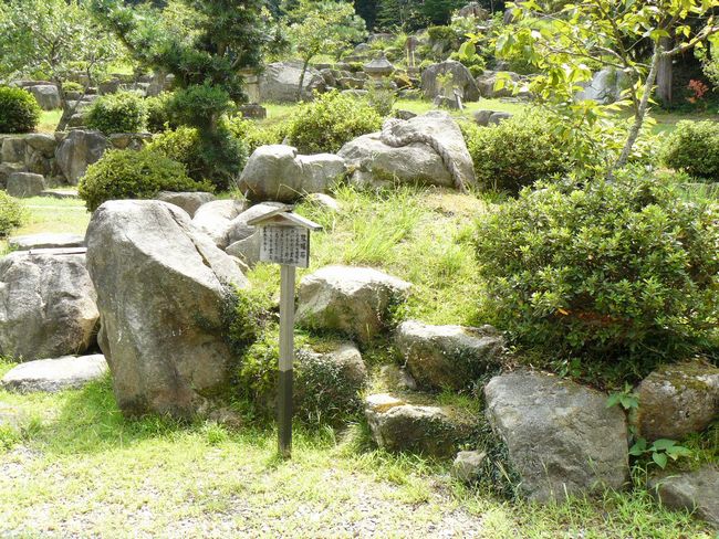 �����_��