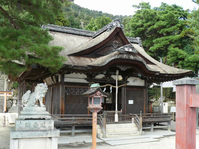 �����s�E���E�_��