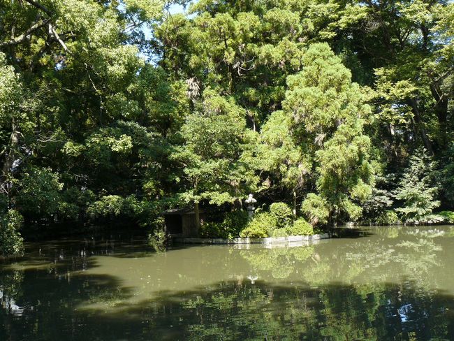 �L�����E������_��