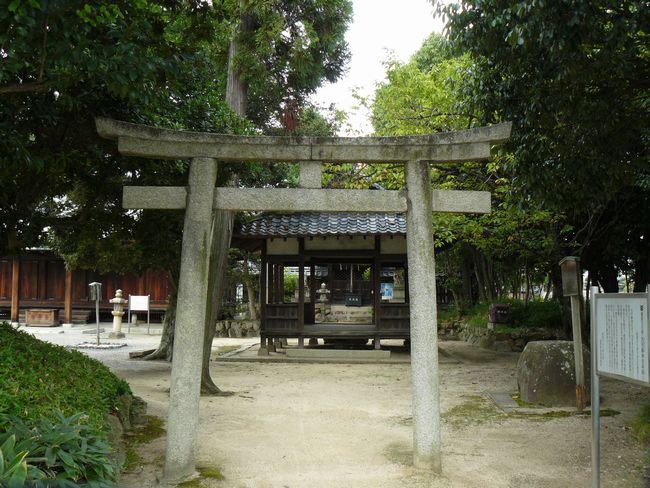 ��s���_��