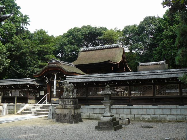 ���a�_��