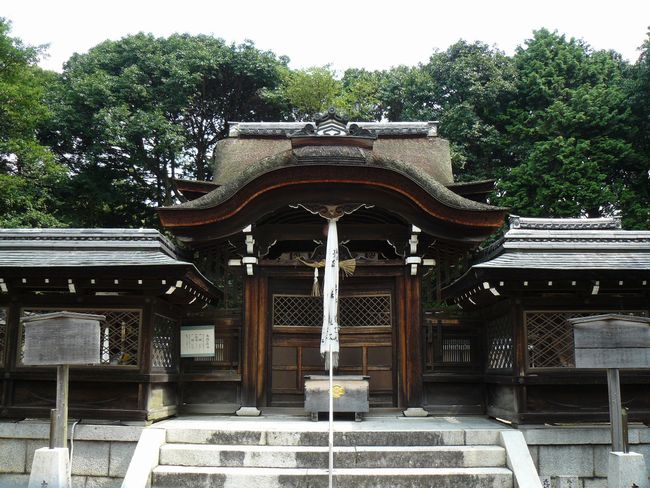 ���a�_��