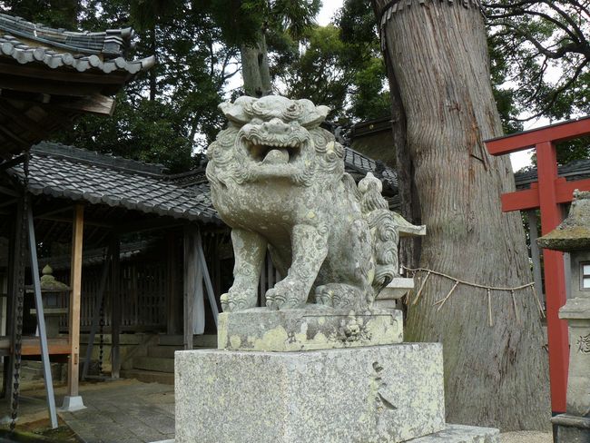 �t���_��