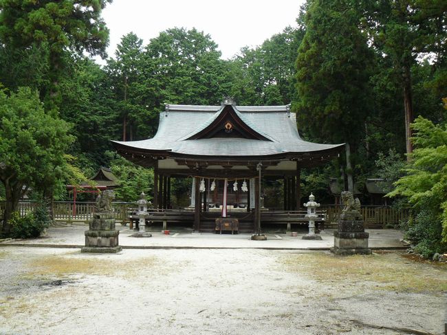 ������_��