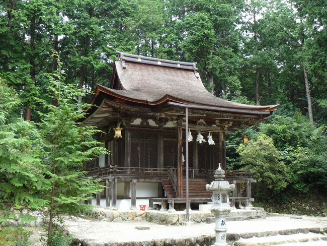 ������_��