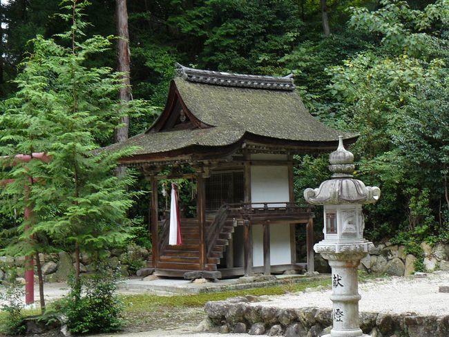 ������_��