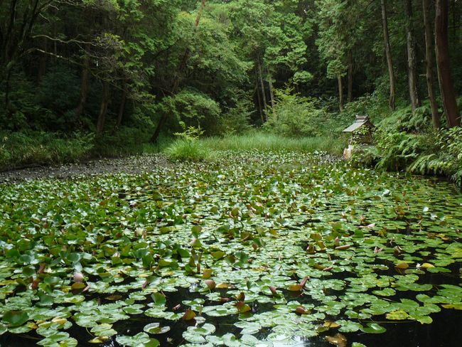 ������_��